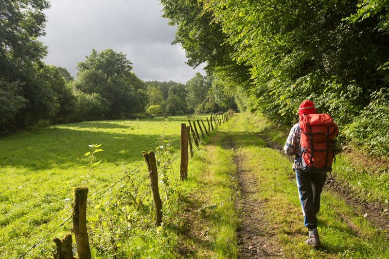 Balade à pied n°62 - Le Saint-Fleuret, Sauzelles - photo 4