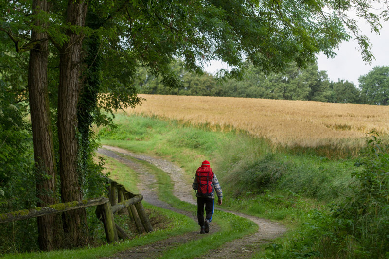 Balade à pied n°62 - Le Saint-Fleuret, Sauzelles - photo 6