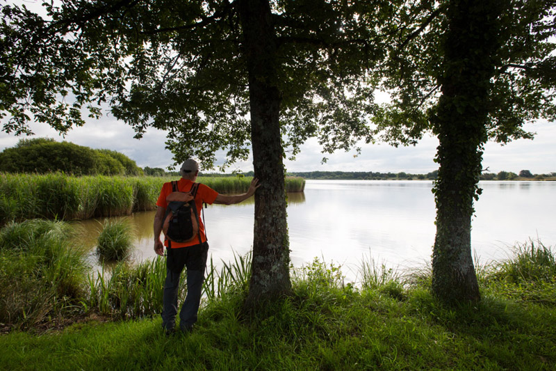 Balade à pied n°8 - Plumages humides au creux de la roselière, Luant - photo 2
