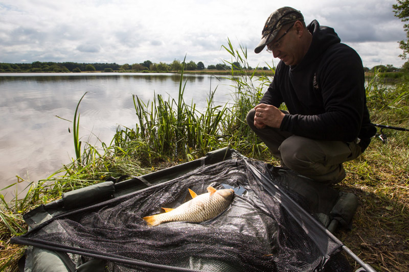 Balade à pied n°8 - Plumages humides au creux de la roselière, Luant - photo 4