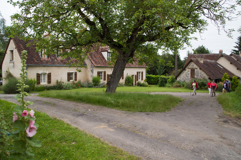 Balade à pied n°35 - La Creuse entre val et coteau  France Centre-Val de Loire Indre Lurais 36220