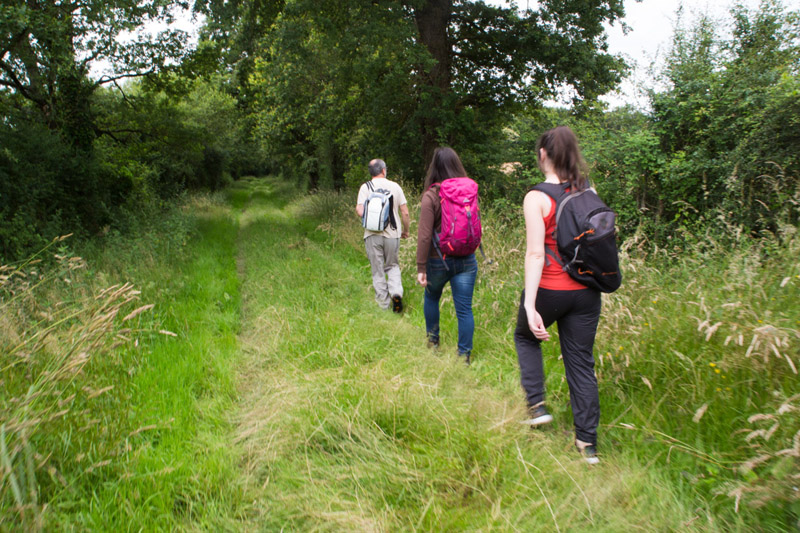 Balade à pied n°45- De vallons en brandes, Nuret-le-Ferron - photo 6