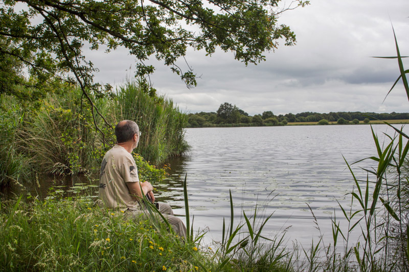 Balade à pied n°45- De vallons en brandes, Nuret-le-Ferron - photo 4