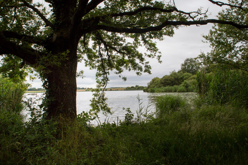 Balade à pied n°45- De vallons en brandes, Nuret-le-Ferron - photo 3