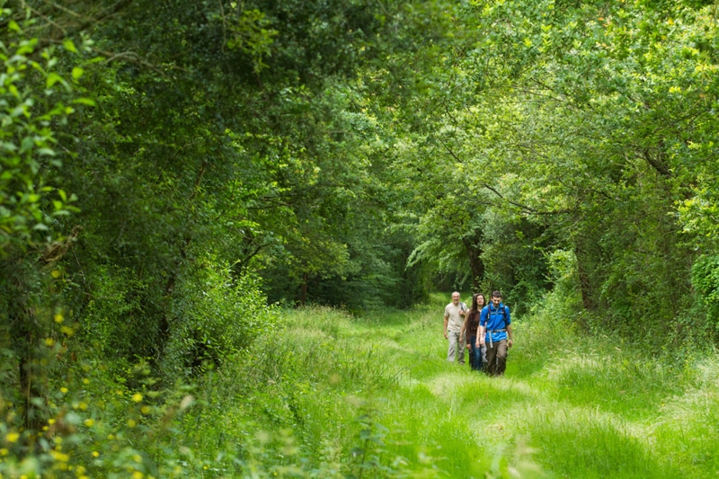Balade à pied n°45- De vallons en brandes, Nuret-le-Ferron - photo 5