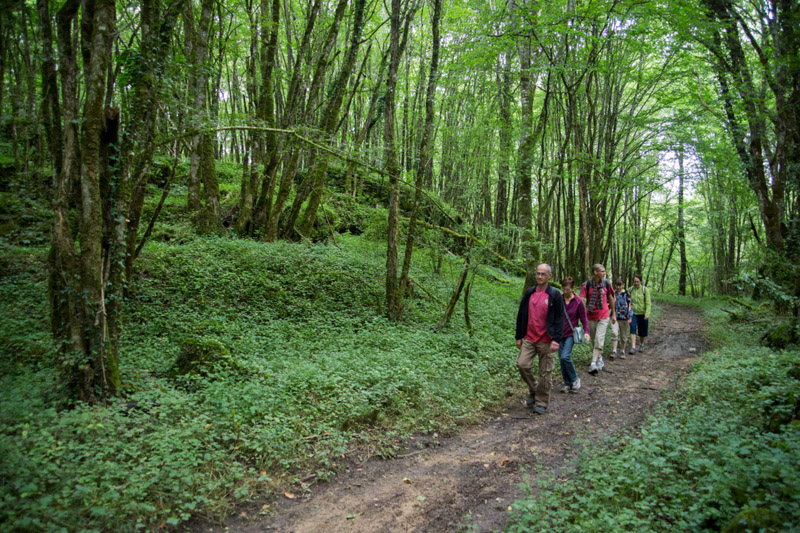Balade à pied n°49 - Histoire de chèvre et de pierres, Pouligny-Saint-Pierre