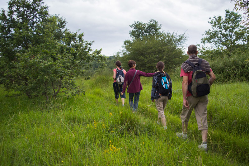 Balade à pied n°13 - Au pays des pyramides