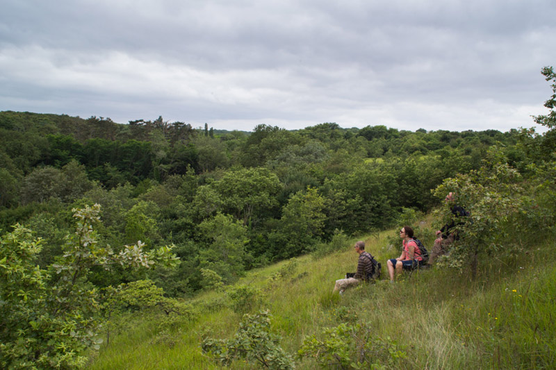 Balade à pied n°13 - Au pays des pyramides, Pouligny-Saint-Pierre - photo 6