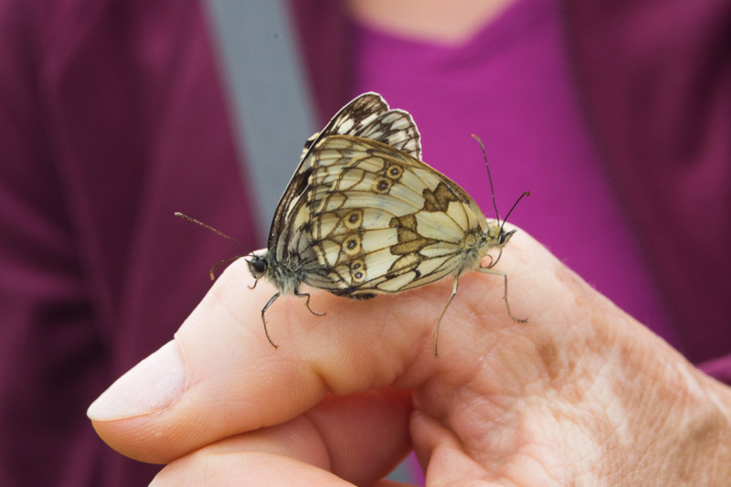 Balade à pied n°13 - Au pays des pyramides, Pouligny-Saint-Pierre - photo 3