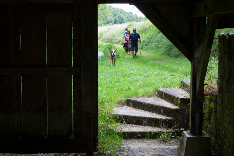 Balade à pied n°58 - Balade en bord de Creuse, Saint-Gaultier