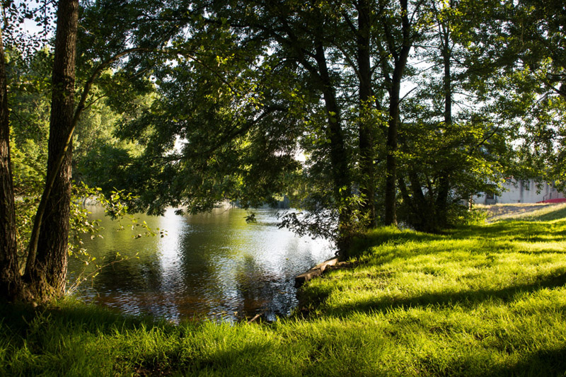 Balade à pied n°65 - Entre Creuse et Suin, Tournon-Saint-Martin - photo 6
