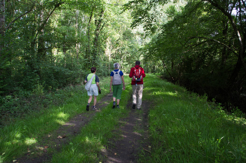 Balade à pied n°65 - Entre Creuse et Suin, Tournon-Saint-Martin - photo 3