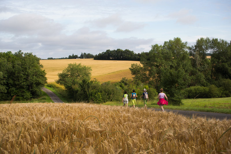 Balade à pied n°65 - Entre Creuse et Suin, Tournon-Saint-Martin - photo 2