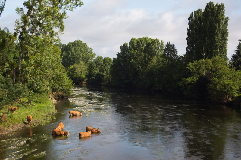 Balade à pied n°65 - Entre Creuse et Suin, Tournon-Saint-Martin - photo 4
