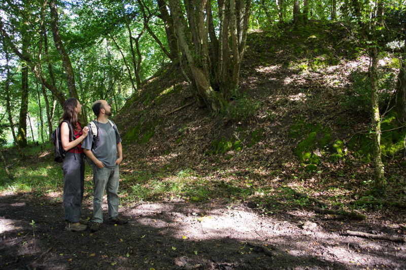Balade à pied n°66-La forêt de Lancosme, Vendœuvres - photo 3