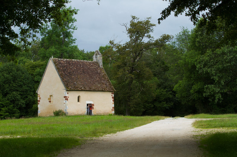 Circuit VTT - De la forêt de Lancosme aux étangs, Saint-Michel-en-Brenne - photo 4