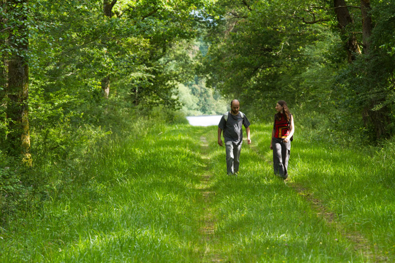 Balade à pied n°66-La forêt de Lancosme, Vendœuvres - photo 5
