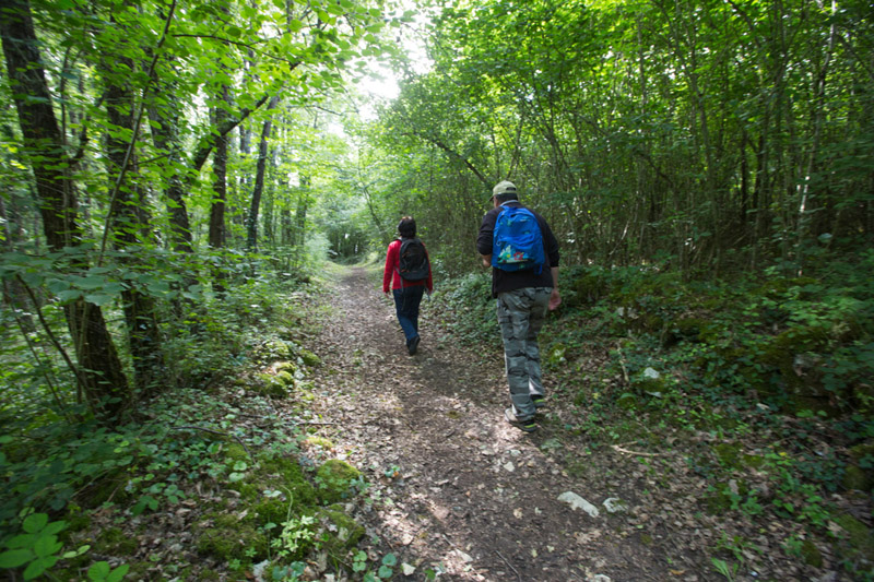 Balade à pied n°29 - Le bois des Roches, Fontgombault