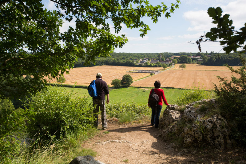 Balade à pied n°29 - Le bois des Roches, Fontgombault - photo 6