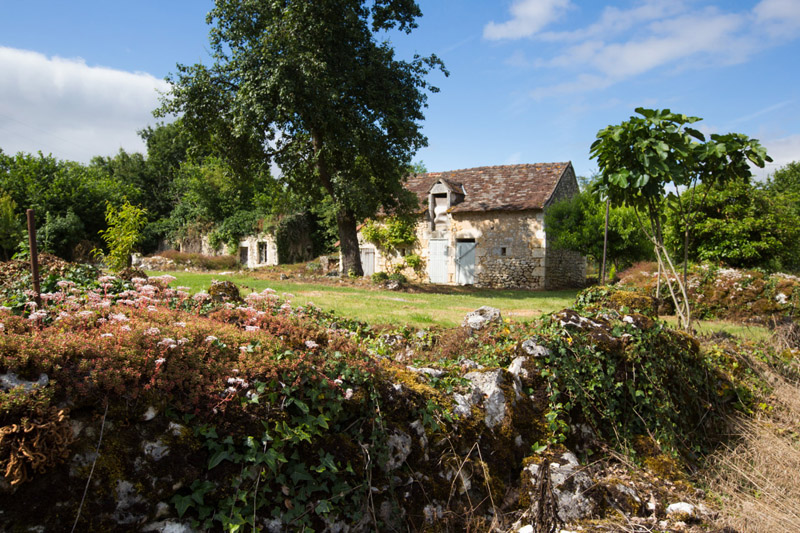 Balade à pied n°29 - Le bois des Roches, Fontgombault - photo 2