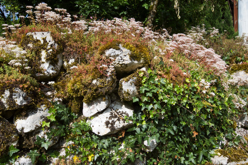Balade à pied n°29 - Le bois des Roches, Fontgombault - photo 5