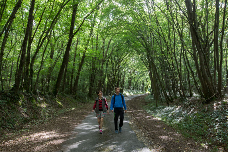 Balade à pied n°53 - Balade de Saint-Victor