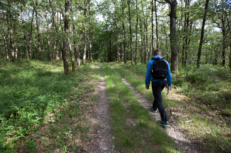 Balade à pied n°53 - Balade de Saint-Victor, Ruffec - photo 6