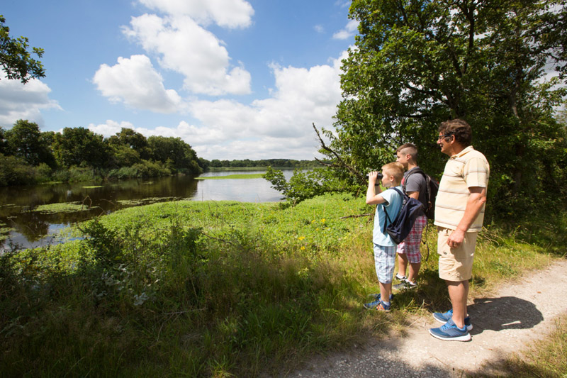 Balade à pied n°26 - Des bords d'étangs au bord de Creuse, Ciron - photo 5