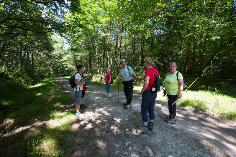 Balade à pied n°47 - Entre Brion et Creuse, Oulches - photo 3