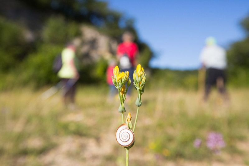 Balade à pied n°15 - Les trois paroisses, Oulches - photo 3
