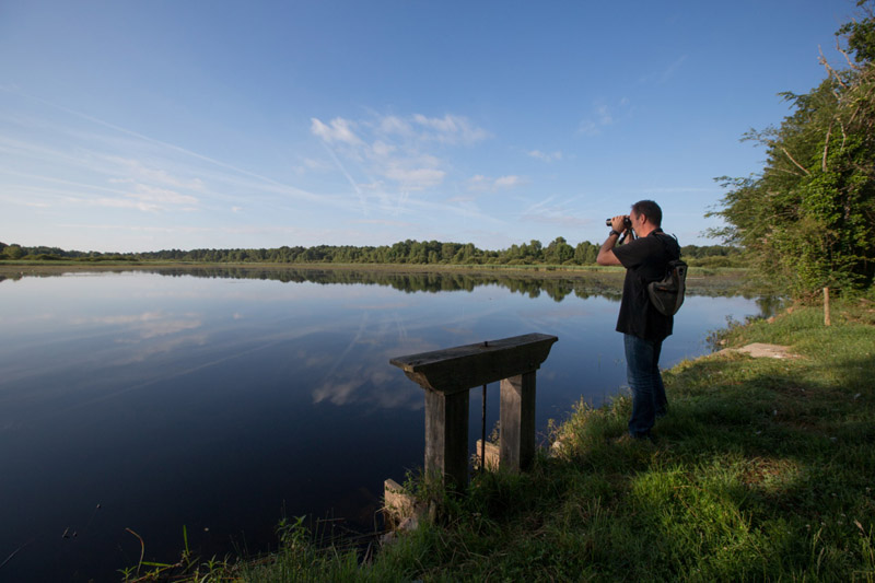 Balade à pied n°57 - Chemins de sable en Brenne, Saint-Michel-en-Brenne - photo 2