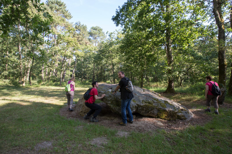 Balade à pied n°57 - Chemins de sable en Brenne, Saint-Michel-en-Brenne - photo 6