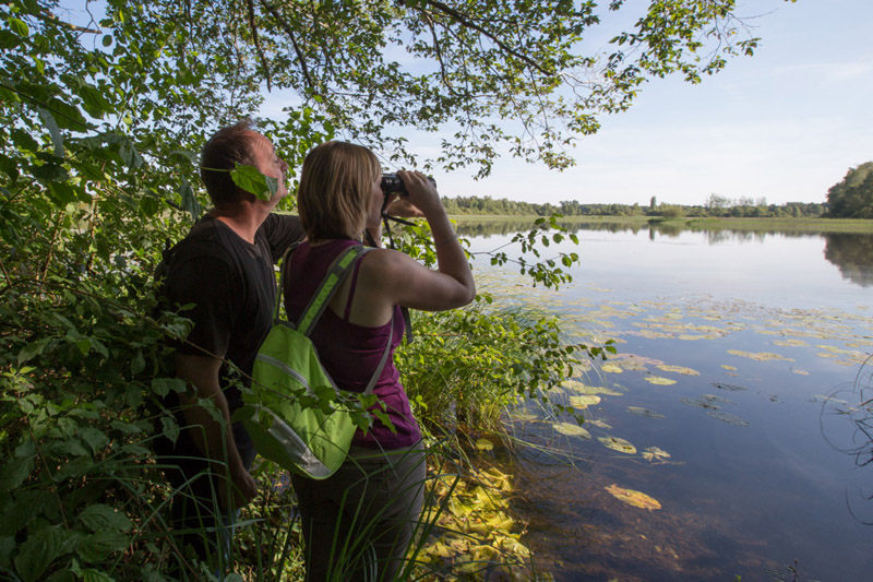 Balade à pied n°4 - Luxuriances marécageuses, Saint-Michel-en-Brenne - photo 5