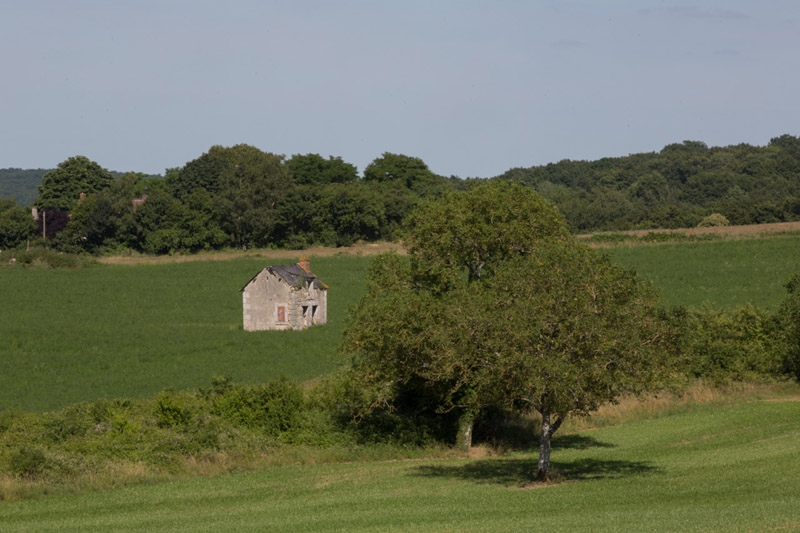 Balade à pied n°63 - Le coteau aux loges de vigne, Thenay - photo 6