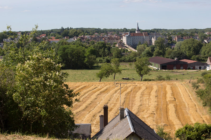 Balade à pied n°11 - Terres de vignerons