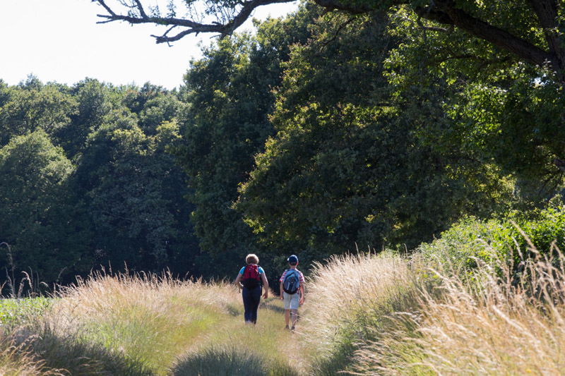 Balade à pied n°11 - Terres de vignerons, Thenay - photo 4