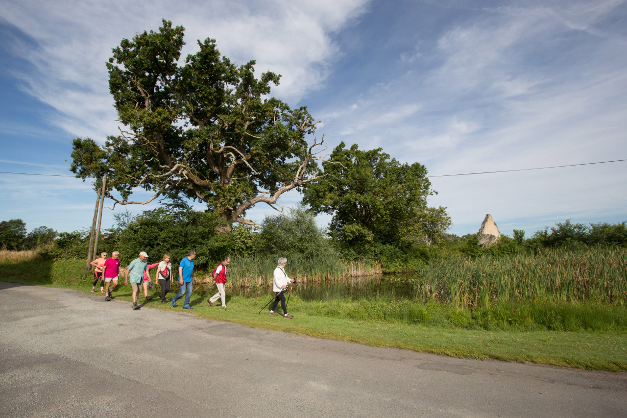 Balade à pied n°31 - De l'étang aux mares de Ratz, Méobecq - photo 5