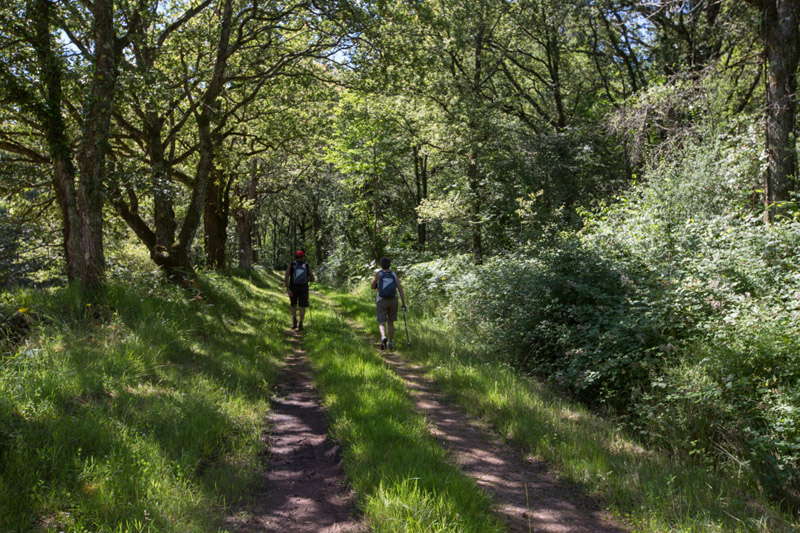 Balade à pied n°54 - Les mines de fer de Chéniers, Sacierges-Saint-Martin - photo 5