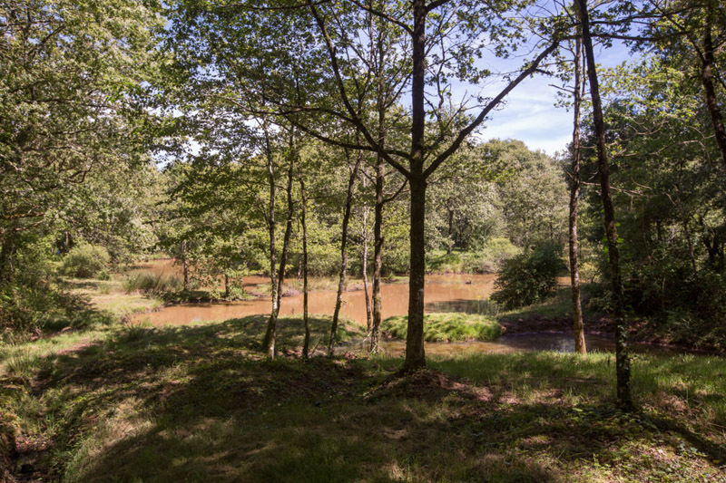 Balade à pied n°54 - Les mines de fer de Chéniers, Sacierges-Saint-Martin - photo 3