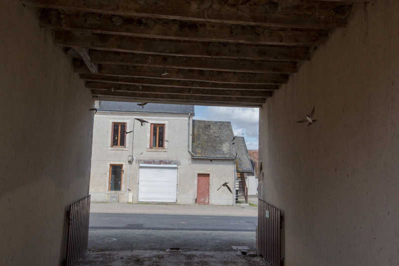 Balade à pied n°44 - Le circuit des étangs Neuf, Neuillay-les-Bois - photo 3