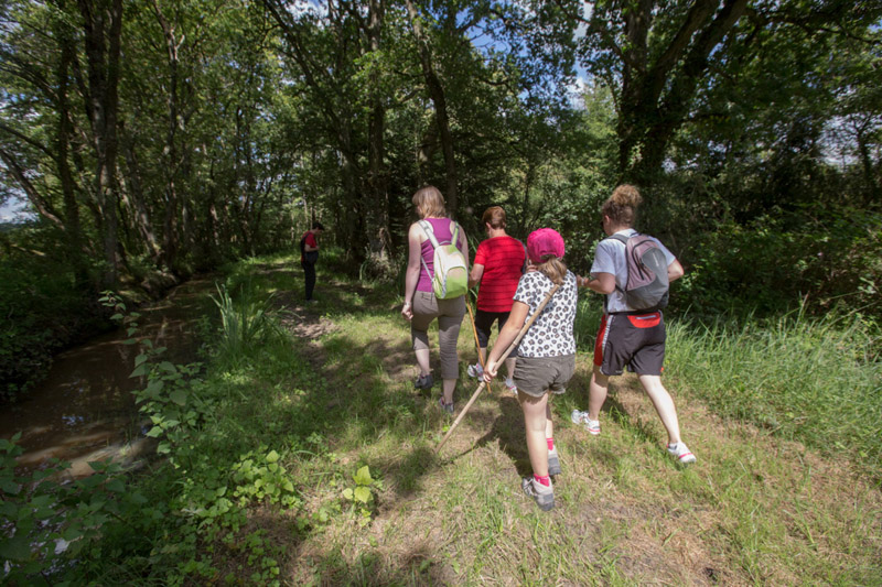 Balade à pied n°44 - Le circuit des étangs Neuf, Neuillay-les-Bois - photo 5