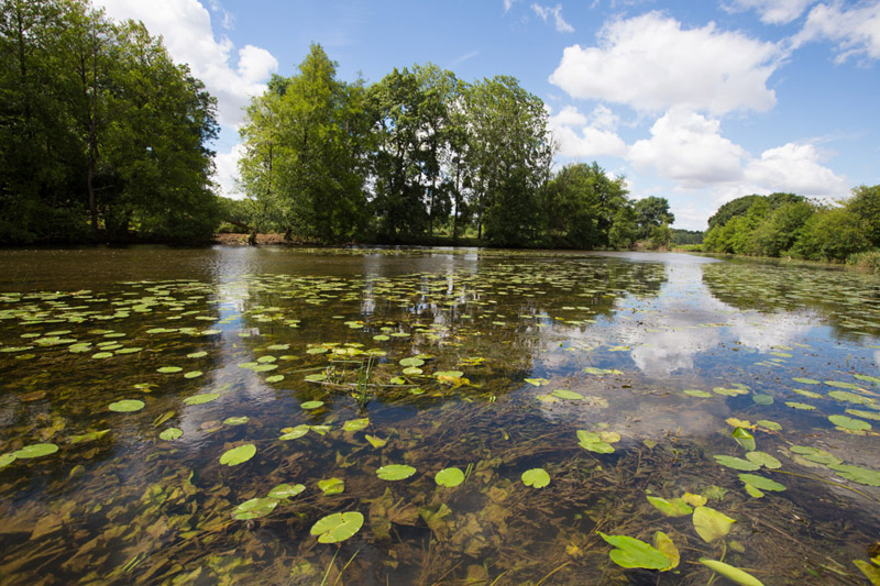 Balade à pied n°39 - Le val d'Anglin, Mauvières