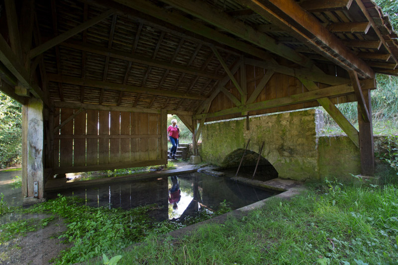 Balade à pied n°10 - Tapis de fleurs par monts et par vaux