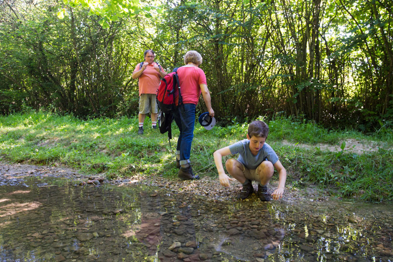 Balade à pied n°10 - Tapis de fleurs par monts et par vaux, Rivarennes - photo 3