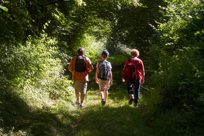 Balade à pied n°10 - Tapis de fleurs par monts et par vaux, Rivarennes - photo 6