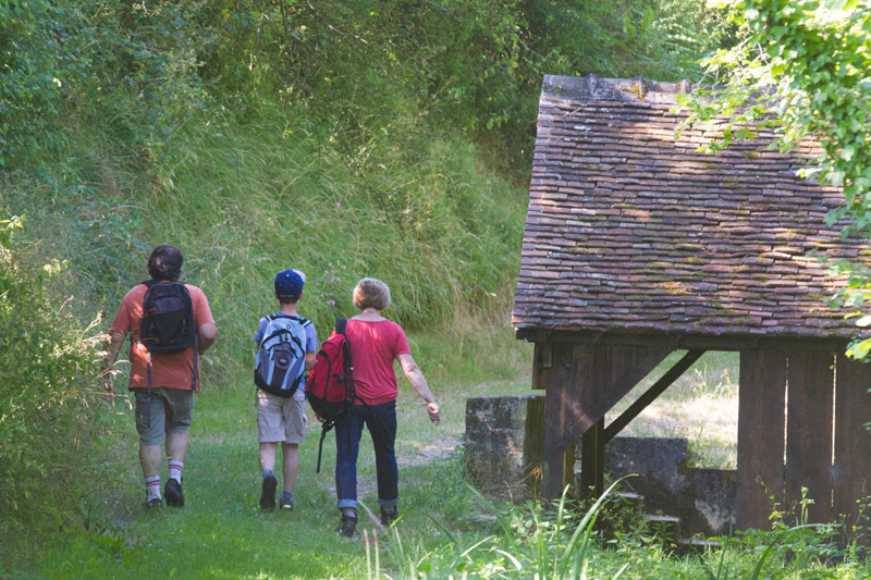 Balade à pied n°10 - Tapis de fleurs par monts et par vaux, Rivarennes - photo 4