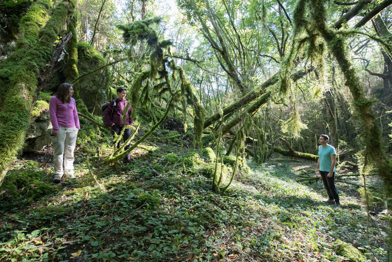 Balade à pied n°35 - La Creuse entre val et coteau, Lurais - photo 6