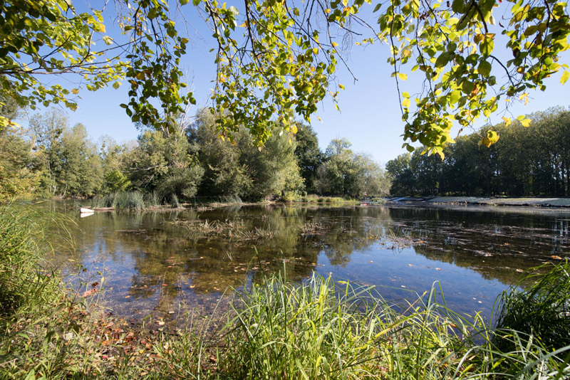 Balade à pied n°43 - Sur les pas des gabelous, Néons-sur-Creuse - photo 6