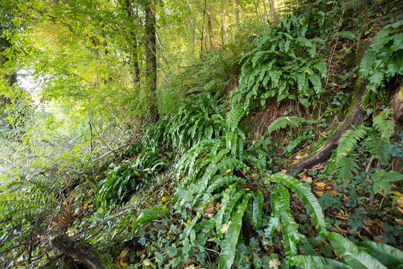 Balade à pied n°47 - Entre Brion et Creuse, Oulches - photo 4