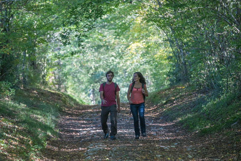 Balade à pied n°45- De vallons en brandes, Nuret-le-Ferron - photo 2